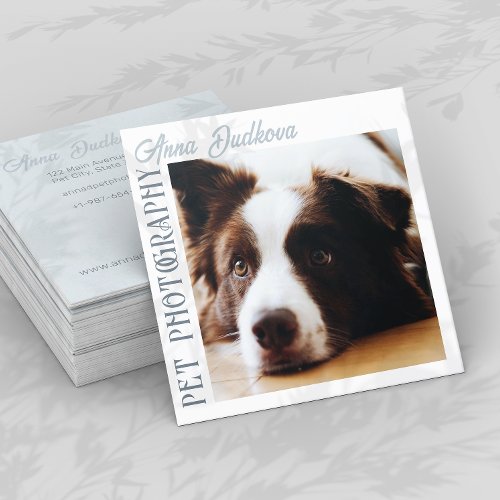 Border Collie Pet Photography Square Business Card