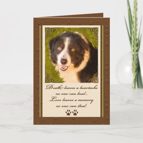 Border Collie Pet Sympathy Loss of a Dog Card