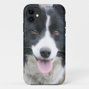 Border Collie Phone Case