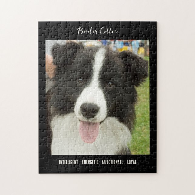 Border Collie Photo Dog Breed Jigsaw Puzzle (Vertical)