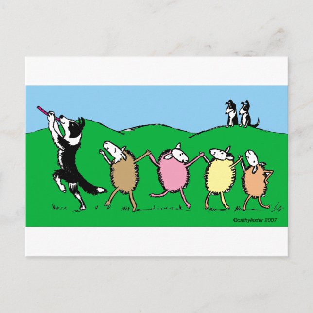 Border Collie Pied Piper Postcard (Front)