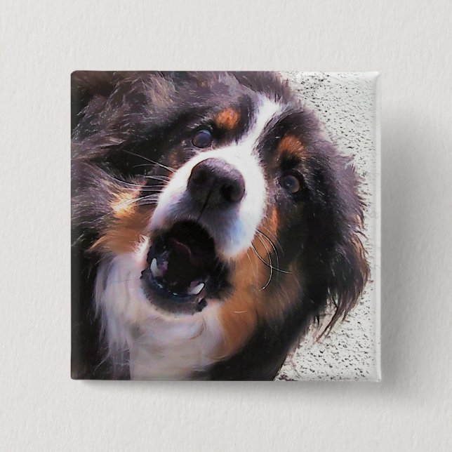 BORDER COLLIE PINBACK BUTTON (Front)