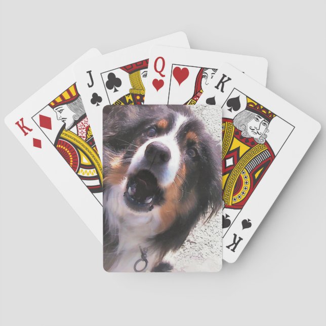 BORDER COLLIE  POKER CARDS (Back)