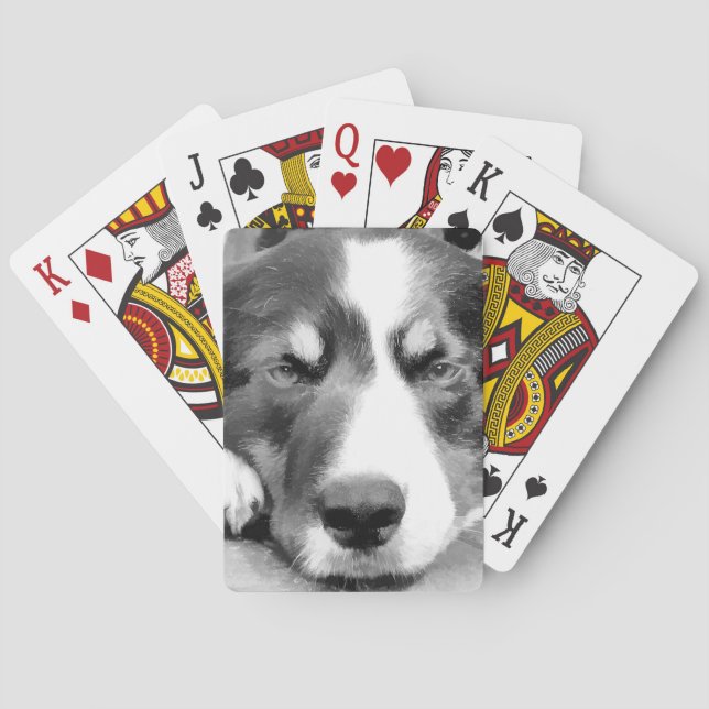 BORDER COLLIE POKER CARDS (Back)