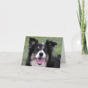 Border Collie Portrait Letterpress Thank You Card