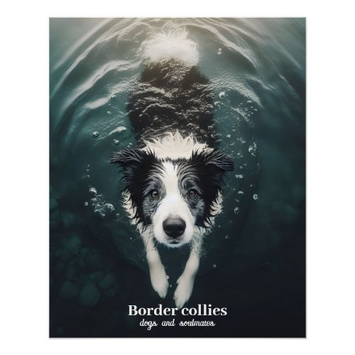 Border collie _ poster