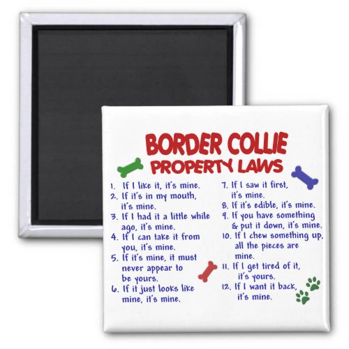 BORDER COLLIE Property Laws 2 Magnet
