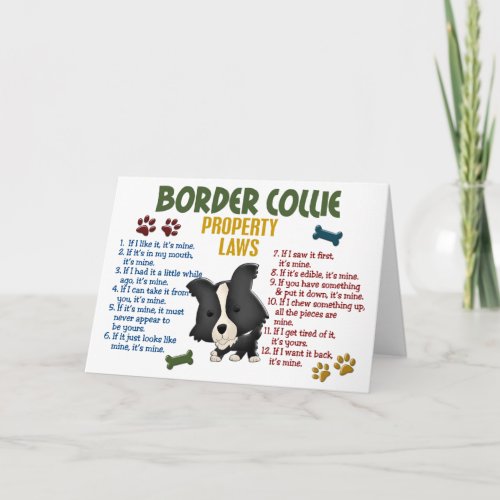 Border Collie Property Laws 4 Card
