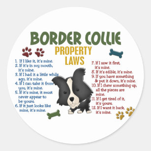 Border Collie Property Laws 4 Classic Round Sticker