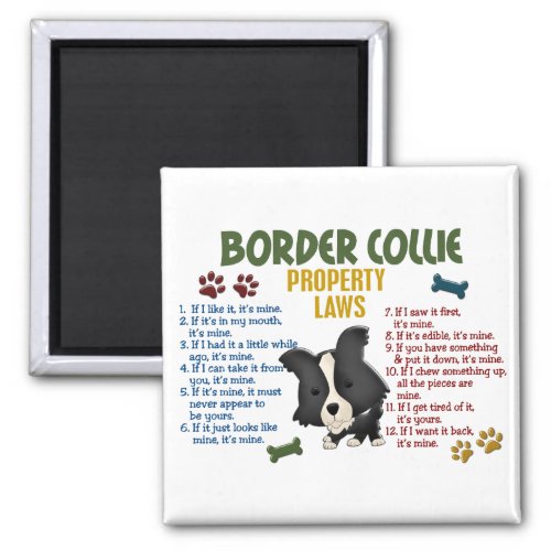 Border Collie Property Laws 4 Magnet