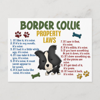Border Collie Property Laws 4 Postcard
