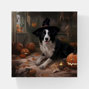 Border Collie Pumpkins Halloween Scary  Paperweight