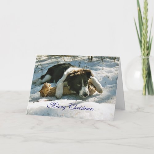 Border Collie pup dog snow custom Christmas Card