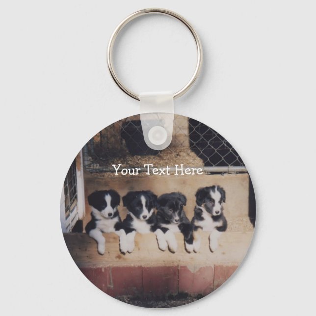 Border Collie Puppies Dog Keychain (Front)