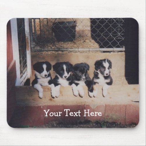Border Collie Puppies Dog Mousepad