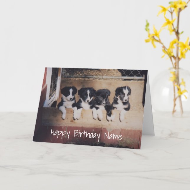 Border Collie Puppies Personalized Birthday Card (Yellow Flower)