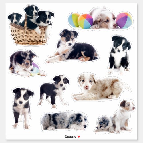 Border Collie Puppies sticker set of 10