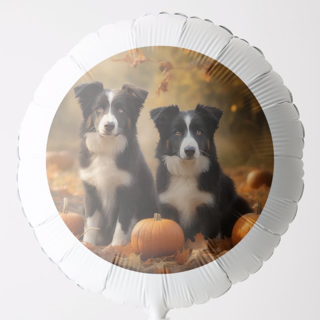 Border Collie Puppy Autumn Delight Pumpkin Balloon (Front)