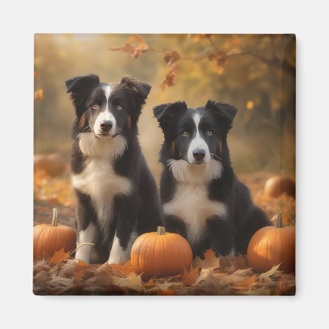 Border Collie Puppy Autumn Delight Pumpkin Magnet (Front)