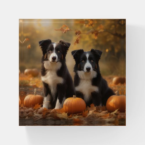 Border Collie Puppy Autumn Delight Pumpkin Paperweight