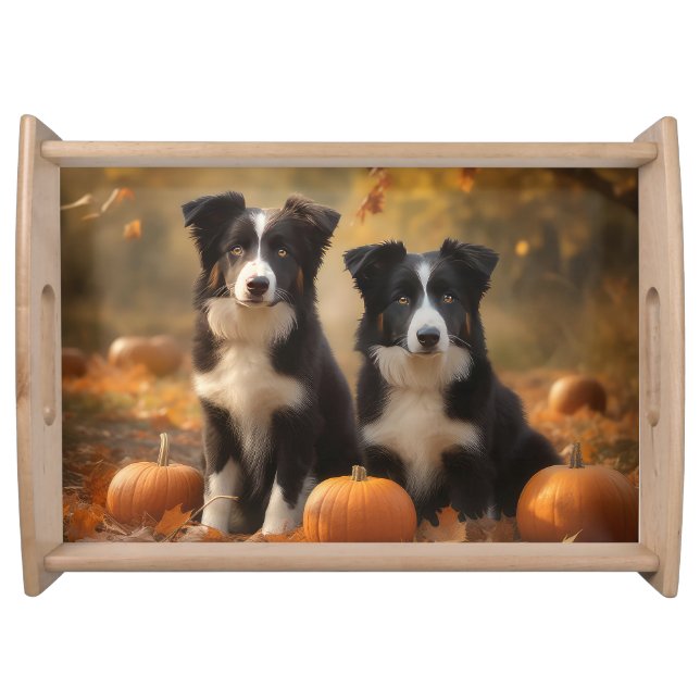 Border Collie Puppy Autumn Delight Pumpkin Serving Tray (Front)