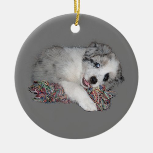 border collie puppy blue merle ceramic ornament