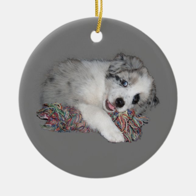 border collie puppy blue merle ceramic ornament (Front)