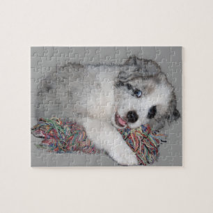 border collie puppy blue merle jigsaw puzzle