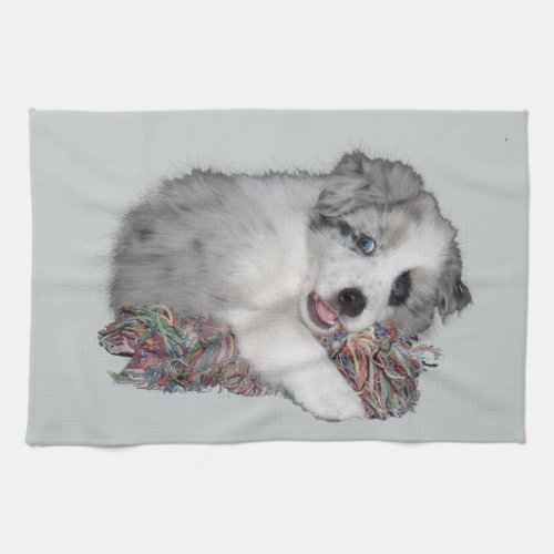 border collie puppy blue merle towel