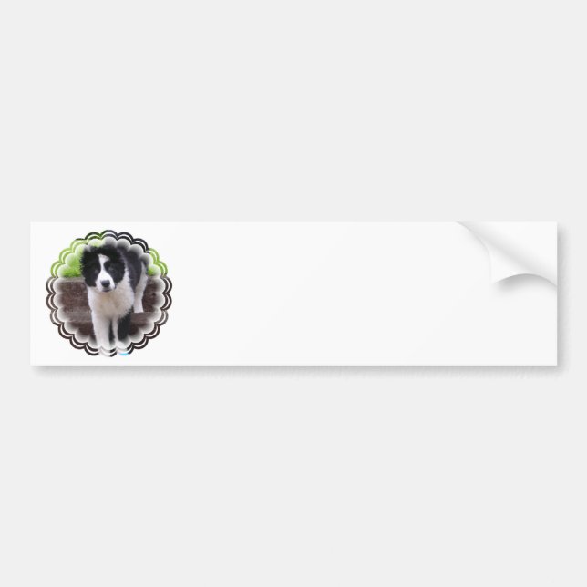 Border Collie Puppy Bumper Sticker (Front)