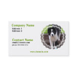 Border Collie Puppy Business Card