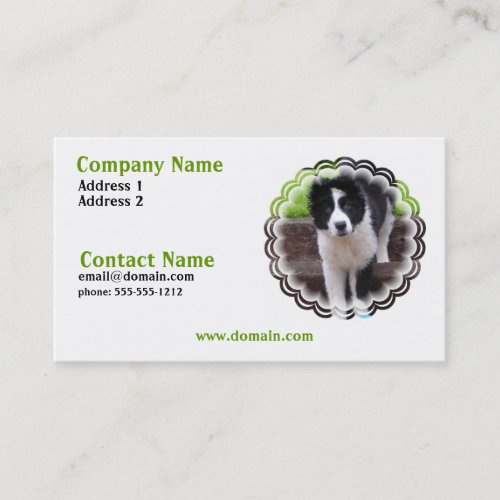 Border Collie Puppy Business Card