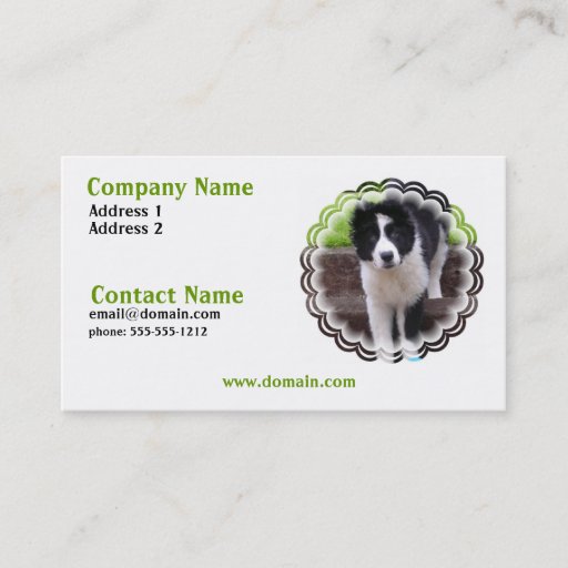 Customizable Border Collie Puppy Business Card