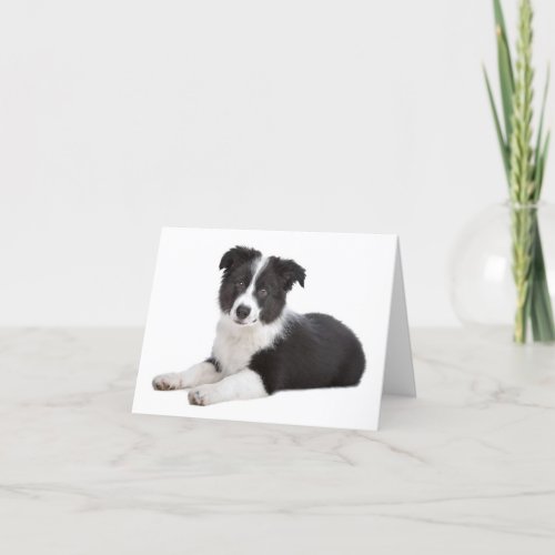 Border Collie Puppy Dog Blank Note Card