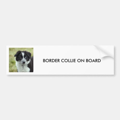 Border Collie puppy dog BUMPER STICKER