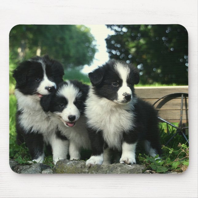 Border Collie Puppy Dog Mousepad (Front)