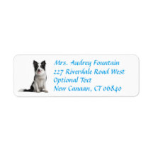 Border Collie Puppy Dog Return Address Label