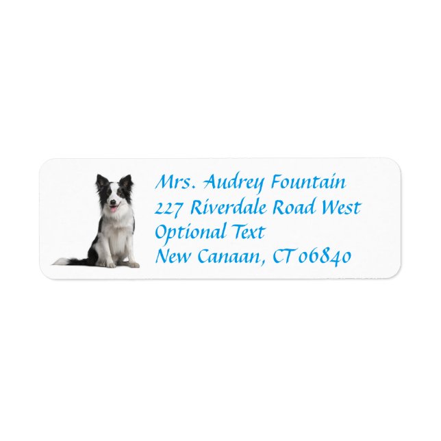 Border Collie Puppy Dog Return Address Label (Front)