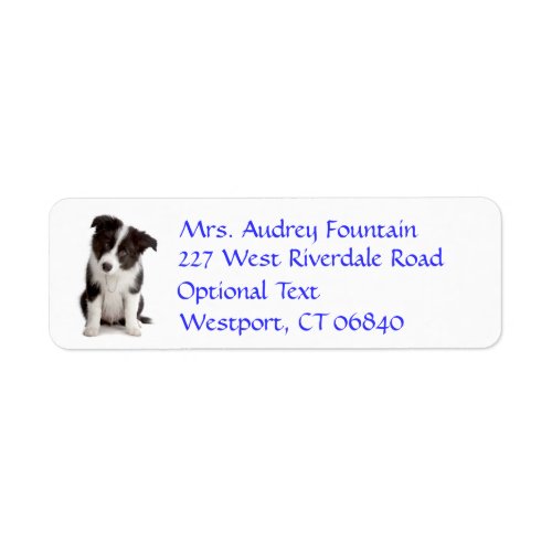 Border Collie Puppy Dog Return Address Name Label