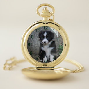 Border Collie Puppy Farm Life, Pocket Watch