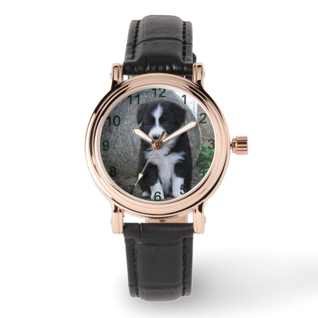 Border Collie Puppy Farm Life, Watch (Front)