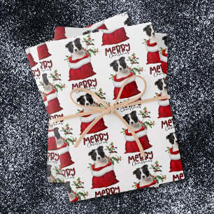Border Collie Puppy in Holiday Gift Bag Wrapping Paper Sheets