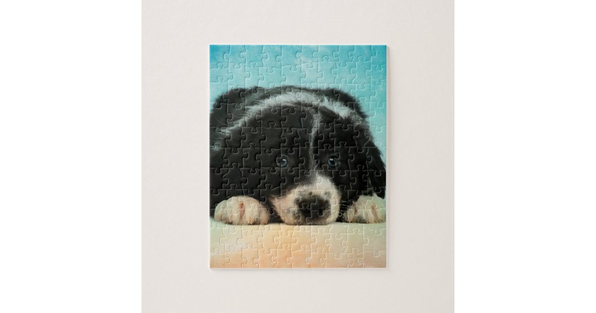 Border Collie Puppy Jigsaw Puzzle Zazzle