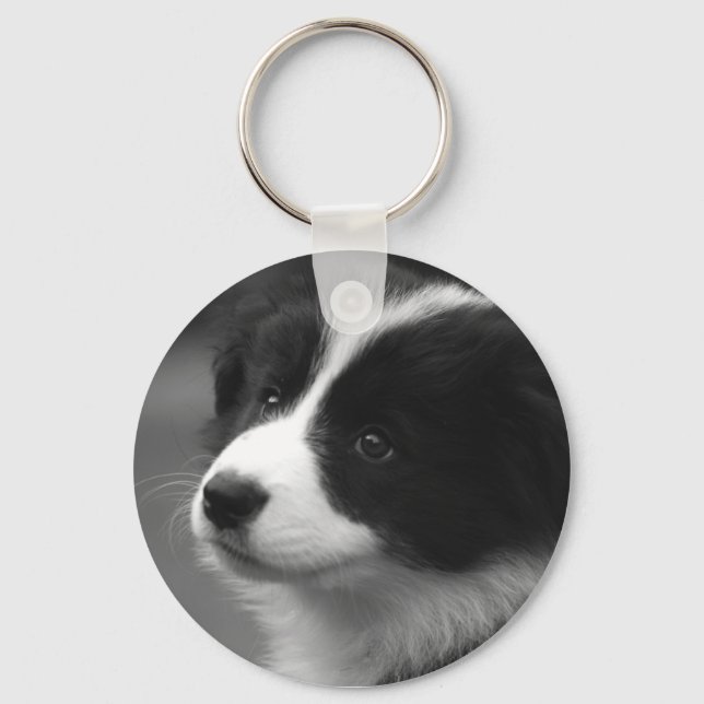 Border Collie Puppy Keychain (Front)