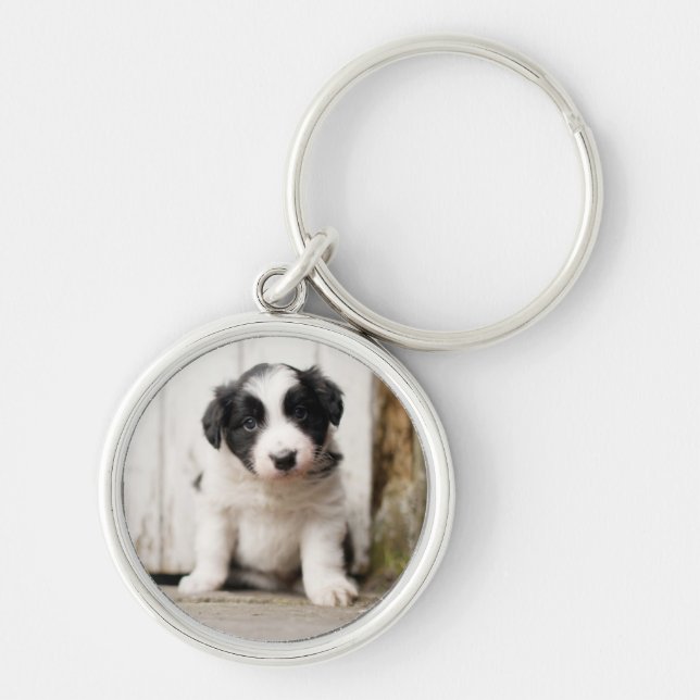 Border Collie Puppy Keychain (Front)