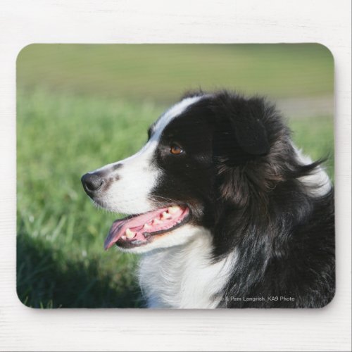 Border Collie Puppy Laying Down Mouse Pad