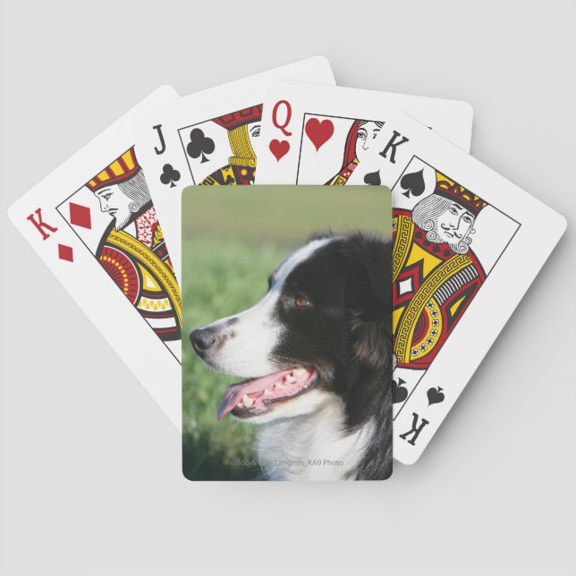 Border Collie Puppy Laying Down Poker Cards (Back)