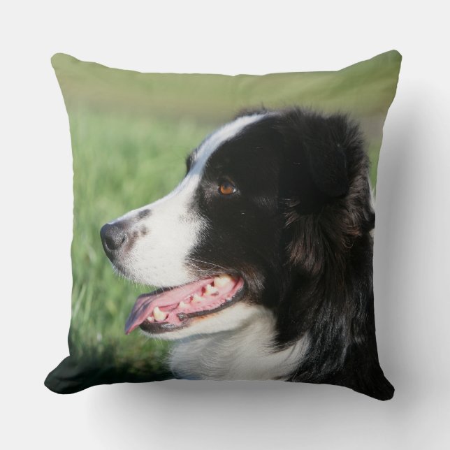 Border Collie Puppy Laying Down Throw Pillow (Front)