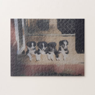 Border Collie Puppy Litter Oil Painting Jigsaw Puzzle