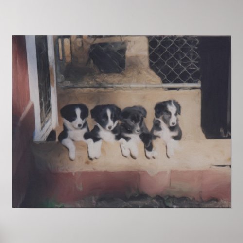 Border Collie Puppy Litter Oil Painting Poster